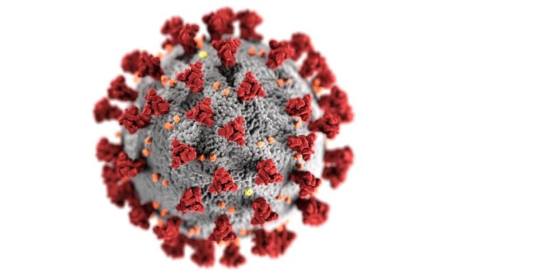 coronavirus 5